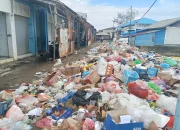 Pedagang di Sula Keluhkan Bau Busuk Sampah Hingga Berulat