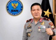 Besok, Kepala BNN Malut Kunker ke Sula, P4GN Jadi Fokus Utama