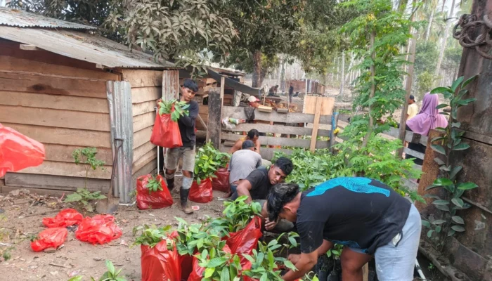 CV AEMM Pastikan Reboisasi Hutan Wailoba, 15.000 Bibit Pala Disiapkan